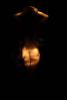 img010.jpeg.small.jpeg
