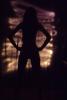 img011.jpeg.small.jpeg