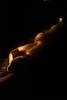 img017.jpeg.small.jpeg