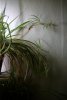img013.jpeg.small.jpeg