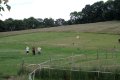img003.jpeg.small.jpeg