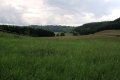img005.jpeg.small.jpeg