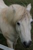 img006.jpeg.small.jpeg