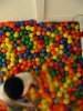 007-img_7462.jpg.small.jpeg