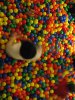 008-img_7464.jpg.small.jpeg