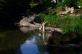 000-img_8804.jpg.small.jpeg