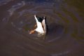 005-img_8843.jpg.small.jpeg