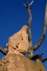 006-img_8868.jpg.small.jpeg