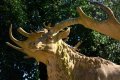 009-img_8894.jpg.small.jpeg