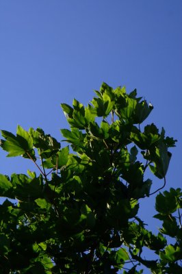 018-img_9029.jpg.medium.jpeg