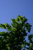 018-img_9029.jpg.small.jpeg
