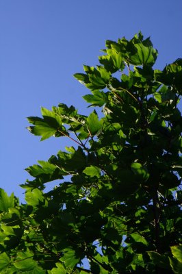 019-img_9037.jpg.medium.jpeg