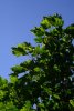 019-img_9037.jpg.small.jpeg