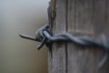 002-img_0048.jpg.small.jpeg
