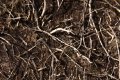 003-img_0085.jpg.small.jpeg
