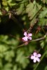 014-img_0148.jpg.small.jpeg