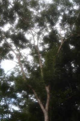 017-img_0195.jpg.medium.jpeg