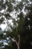 017-img_0195.jpg.small.jpeg