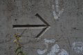 020-img_0203.jpg.small.jpeg
