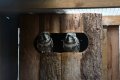 022-img_0219.jpg.small.jpeg