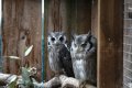 023-img_0222.jpg.small.jpeg