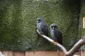 024-img_0225.jpg.small.jpeg