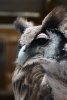 025-img_0227.jpg.small.jpeg