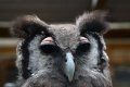 026-img_0232.jpg.small.jpeg