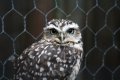 030-img_0252.jpg.small.jpeg