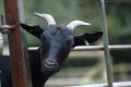 033-img_0273.jpg.small.jpeg