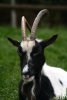 035-img_0283.jpg.small.jpeg