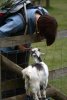 036-img_0290.jpg.small.jpeg