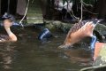041-img_0313.jpg.small.jpeg