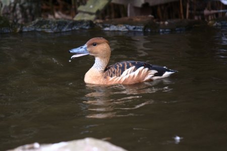 042-img_0314.jpg.medium.jpeg