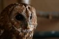 050-img_0356.jpg.small.jpeg