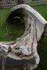 054-img_0388.jpg.small.jpeg