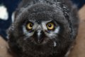 056-img_0396.jpg.small.jpeg