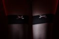 001-img_1230.jpg.small.jpeg