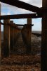 000-img_1941.jpg.small.jpeg