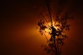 008-img_2046.jpg.small.jpeg