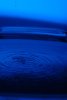 000-img_2894.jpg.small.jpeg
