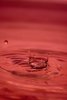 003-img_2949.jpg.small.jpeg