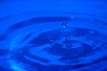008-img_3098.jpg.small.jpeg
