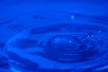 009-img_3103.jpg.small.jpeg