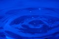 010-img_3105.jpg.small.jpeg