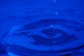 011-img_3110.jpg.small.jpeg