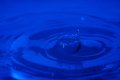 013-img_3132.jpg.small.jpeg