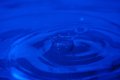 014-img_3134.jpg.small.jpeg