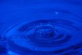 015-img_3143.jpg.small.jpeg