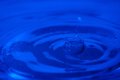 016-img_3196.jpg.small.jpeg